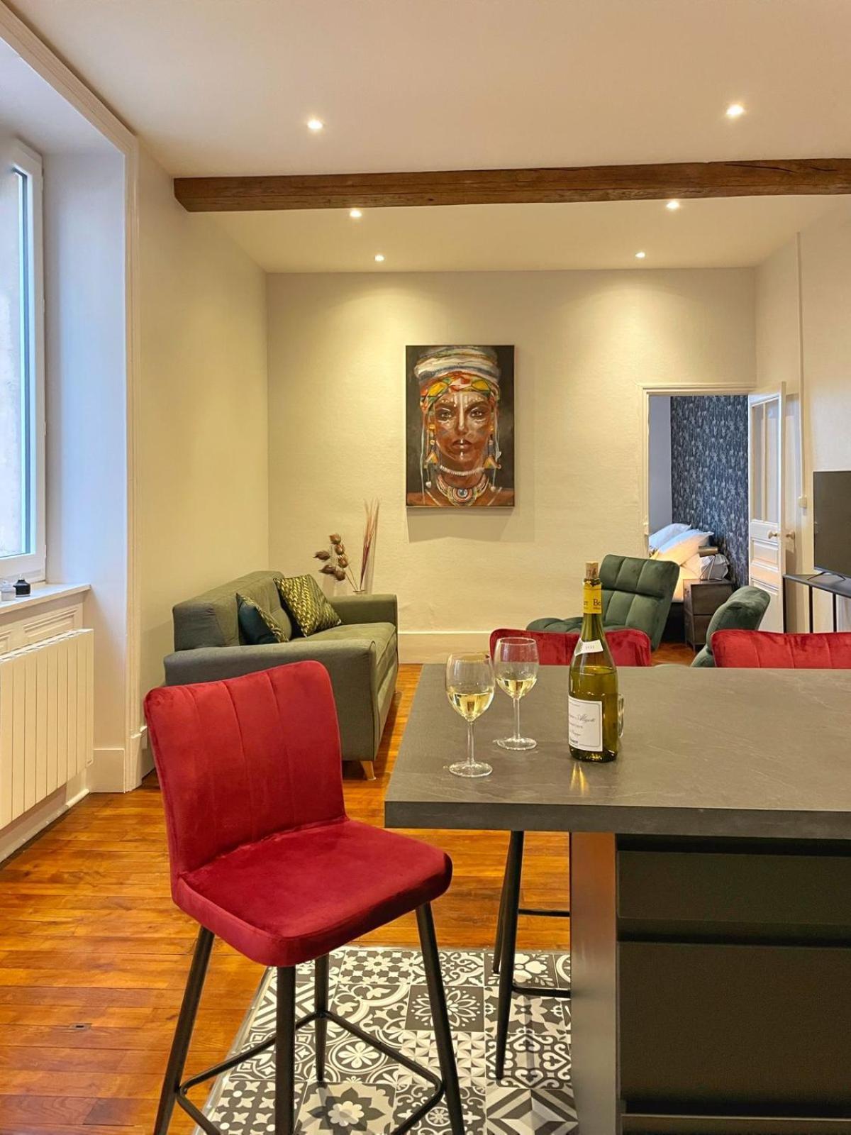 Center Macon Charmant Appartement Avec Vue Sur La Saone Eksteriør billede
