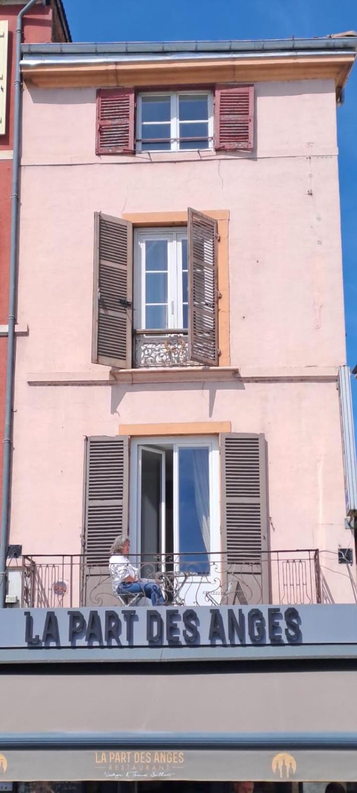Center Macon Charmant Appartement Avec Vue Sur La Saone Eksteriør billede